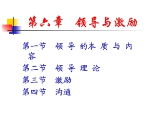 第七章：领导