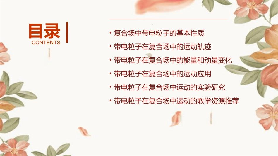 带电粒子在复合场中的运动通用课件_第2页