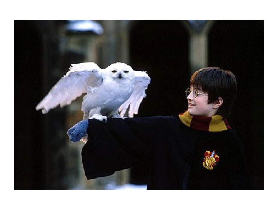 牛津英语高一定语从句Grammarobservation_第2页