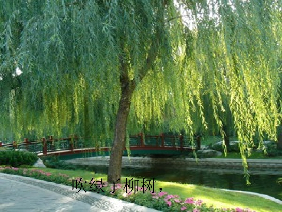 小班语言：春风_第3页