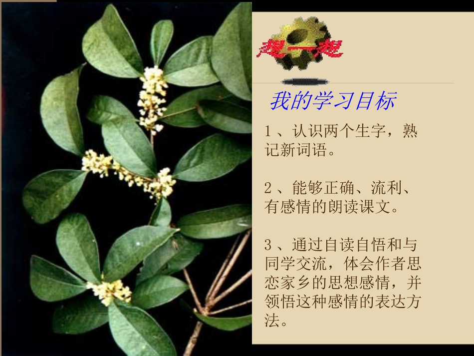 人教版小学语文五年级上册《桂花雨》PPT课件_第3页
