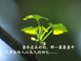 人教版小学语文五年级上册《桂花雨》PPT课件