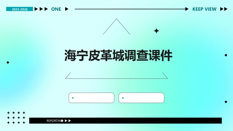海宁皮革城调查课件_第1页