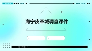 海宁皮革城调查课件