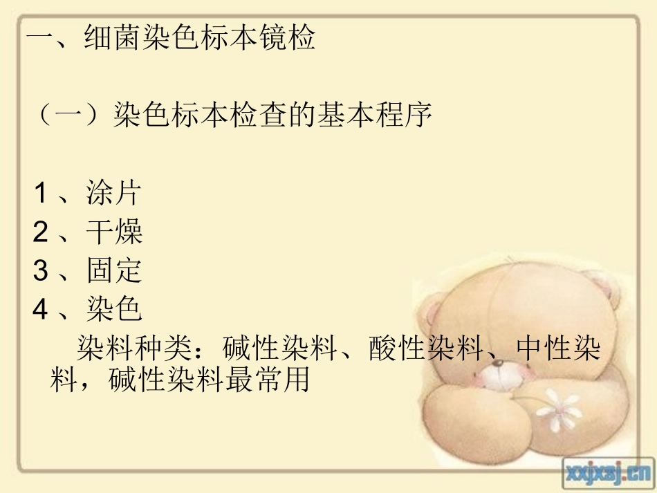 细菌检验技术_第3页