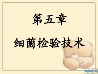 细菌检验技术