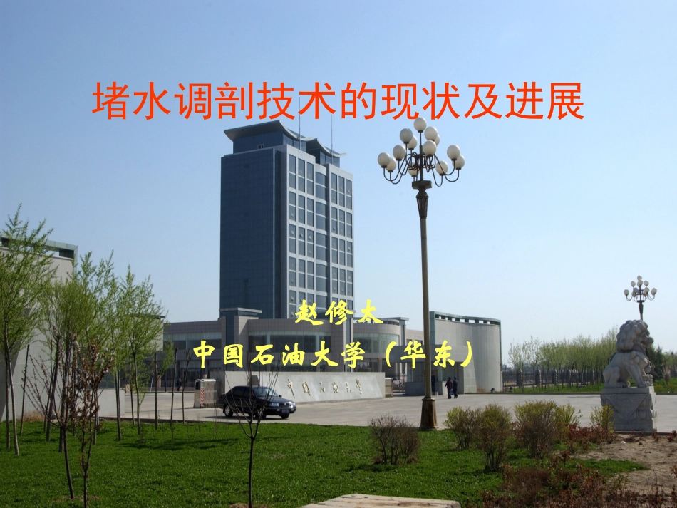 堵水调剖技术的现状及进展赵修太  中国石油大学(华东)_第1页