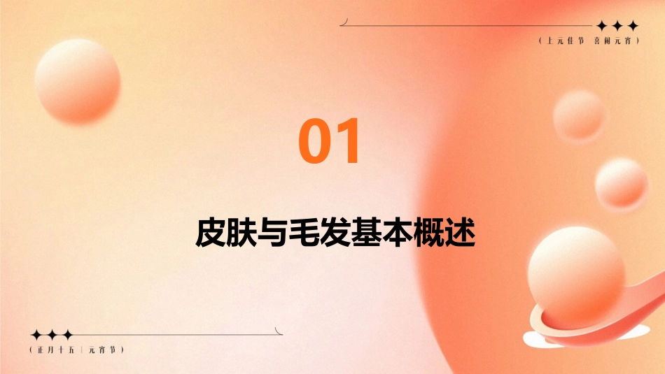 健康评估之皮肤与毛发护理课件_第3页