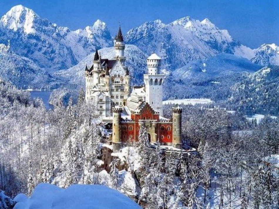 六年级科学上册《抵抗弯曲》(公开课)_第3页