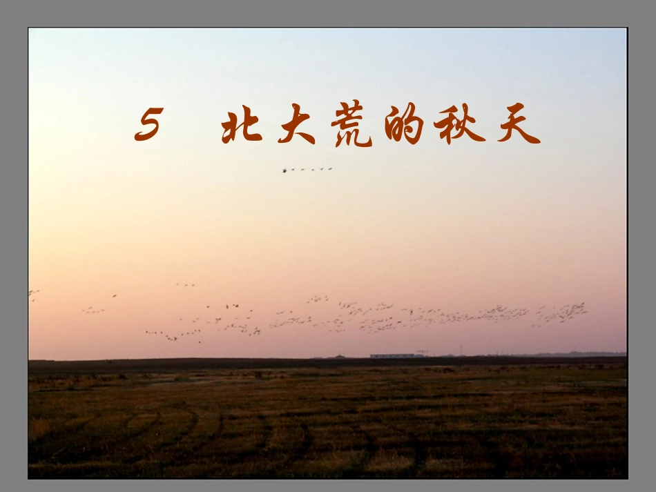 北大荒的秋天 (3)_第1页