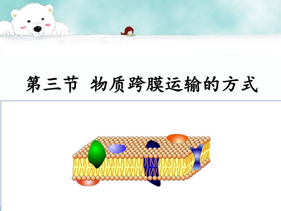 物质跨膜运输的方式 比赛获奖课件_第2页
