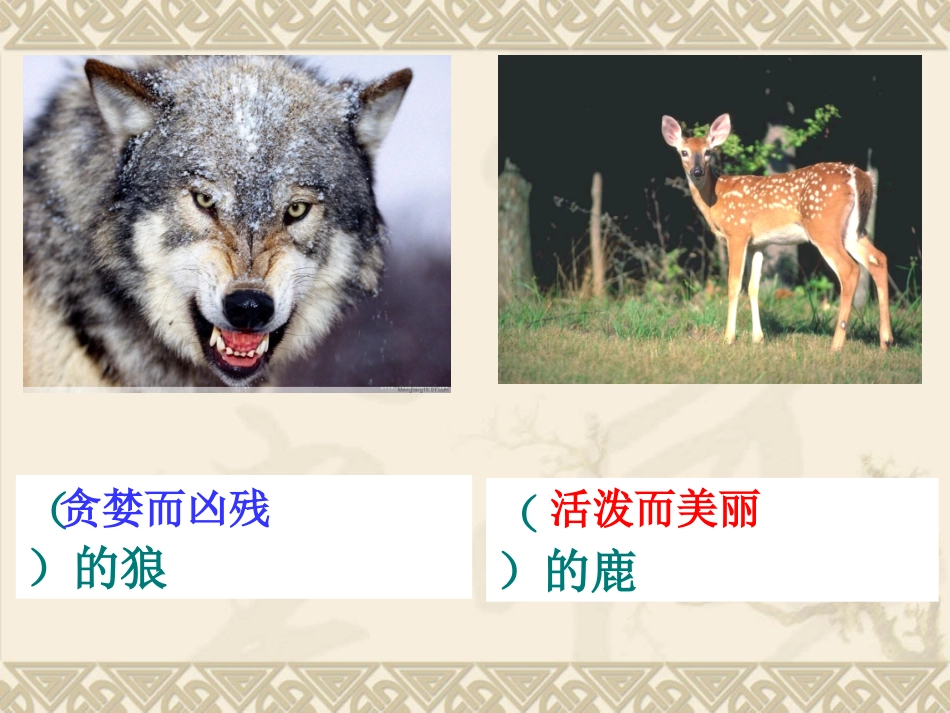 狼和鹿 (2)_第2页