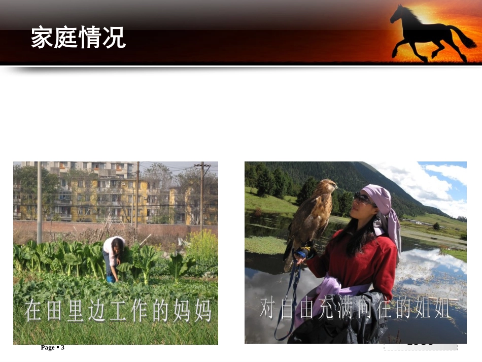 励志奖学金竞选PPT_第3页