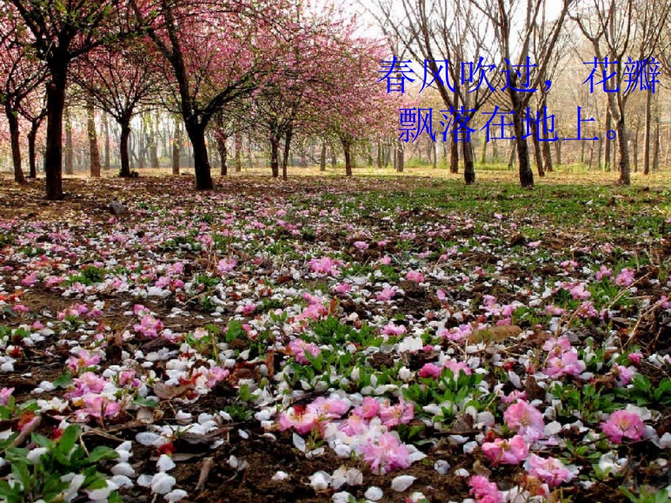 小班歌曲：春天_第2页