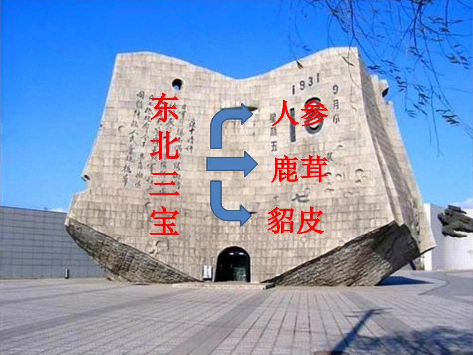 五年级品德与社会《肥沃的黑土地》ppt_第2页