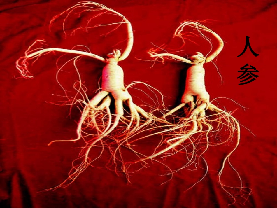 五年级品德与社会《肥沃的黑土地》ppt_第3页