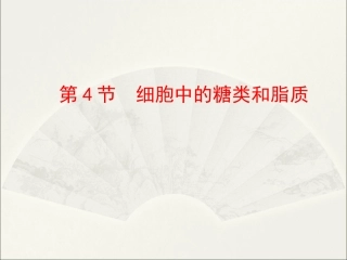 第4节细胞中的糖类和脂质 (2)