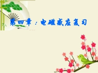 电子感应复习课课件