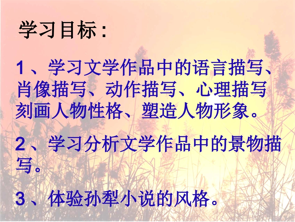 芦花荡 (2)_第3页