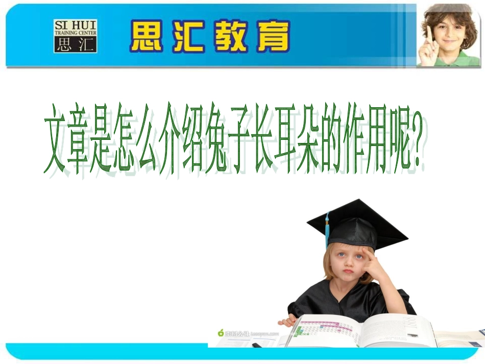 三年级上快乐语文步步赢第1课兔子_第3页