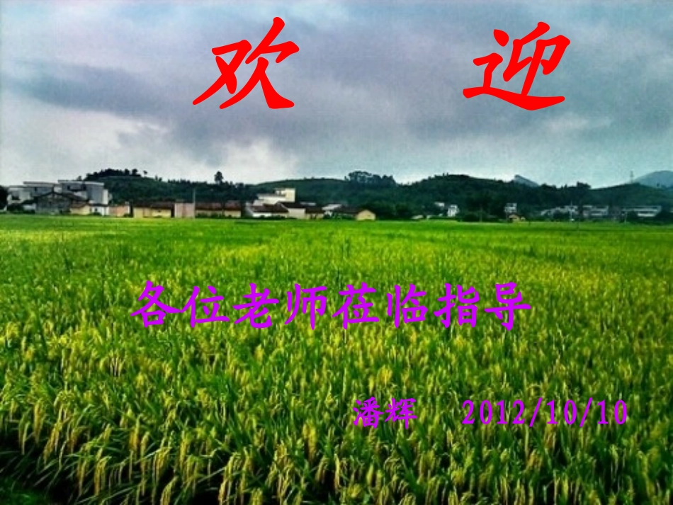 探究欧姆定律第一课时_第1页