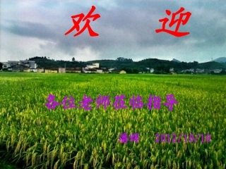 探究欧姆定律第一课时