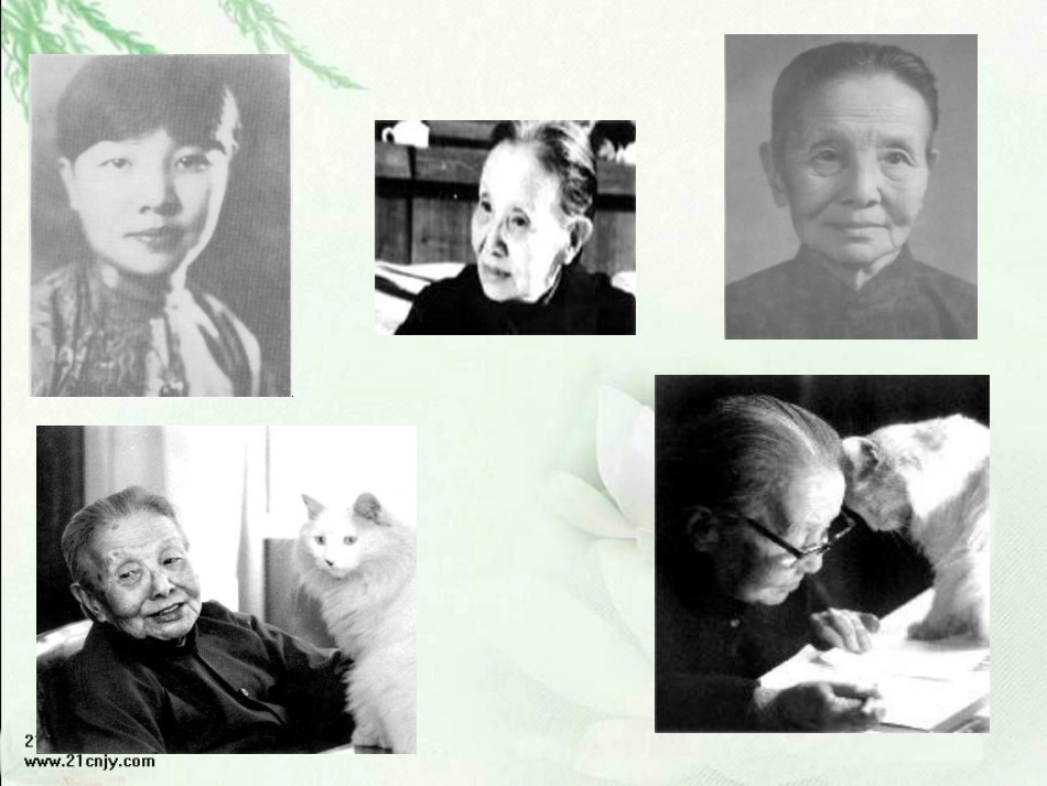 只拣儿童多处行PPT课件_第3页