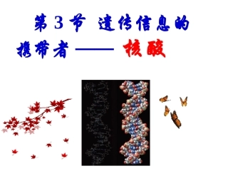 核酸由核苷酸链接成的长链
