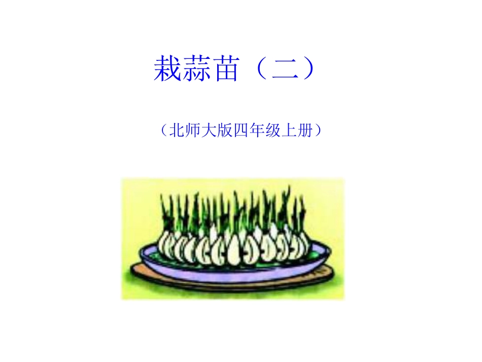 四年级上册数学栽蒜苗(二)课件_第1页