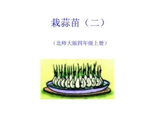 四年级上册数学栽蒜苗(二)课件