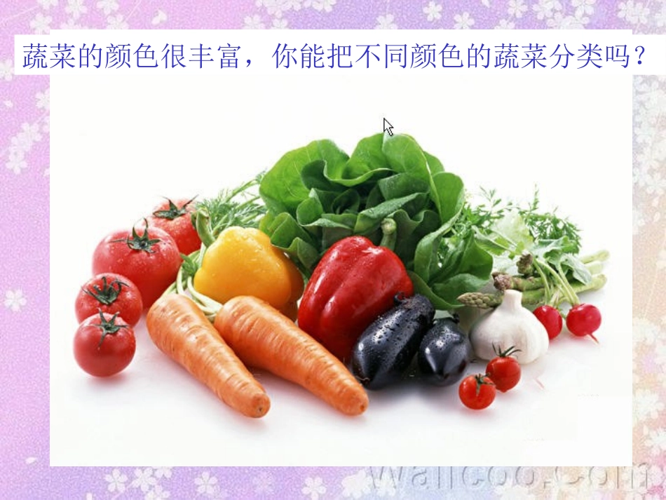 我家的菜篮子_第3页