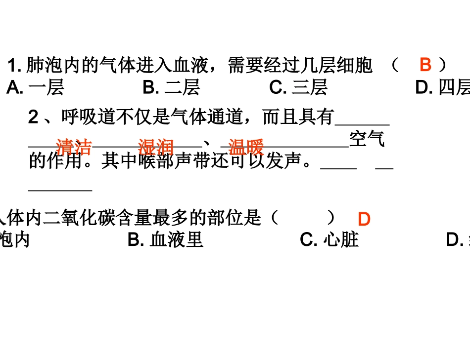 人体的呼吸复习_第3页