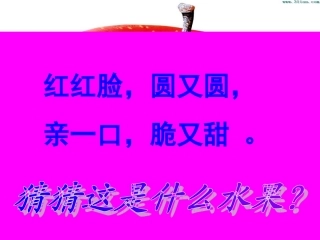 苹果里的五角星课件