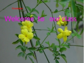 《名词性从句》课件