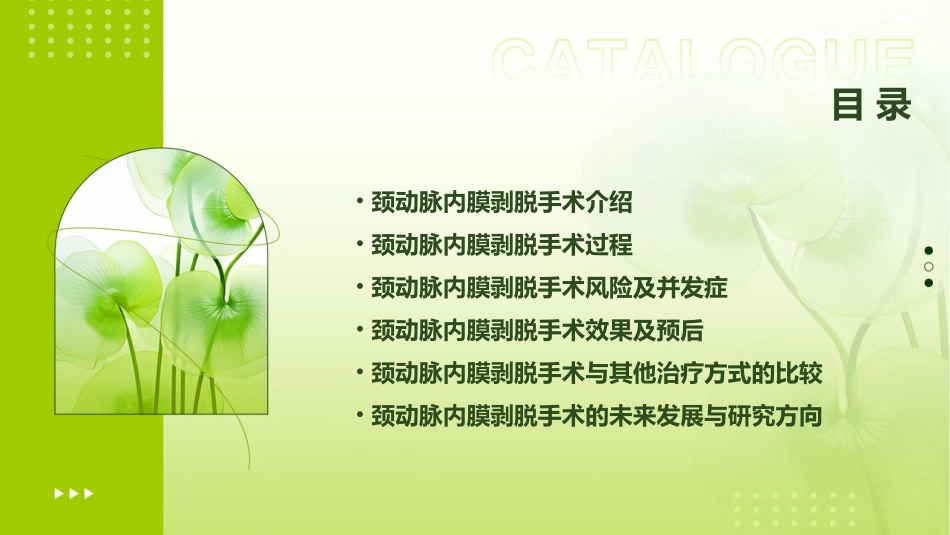 颈动脉内膜剥脱通用课件_第2页
