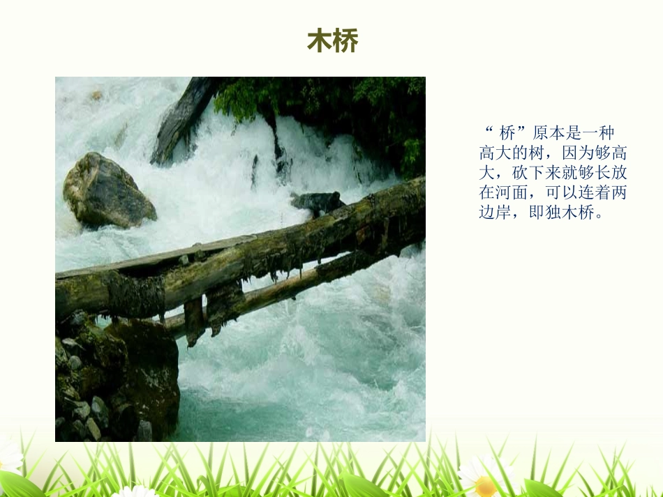 各种各样的桥_第3页