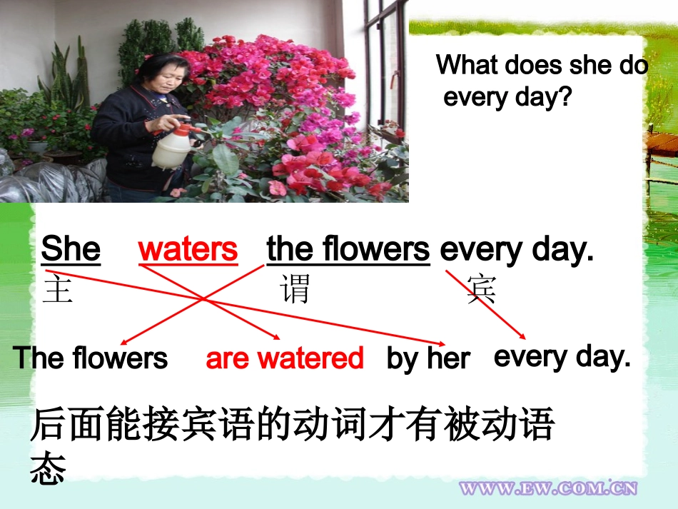 初中被动语态公开课课件_第2页