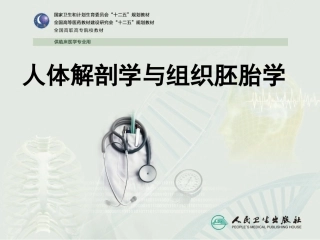 人体解剖学与组织胚胎学 上皮细胞