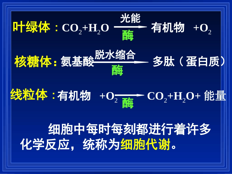第1节降低化学反应活化能的酶_第2页