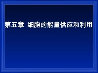 第1节降低化学反应活化能的酶
