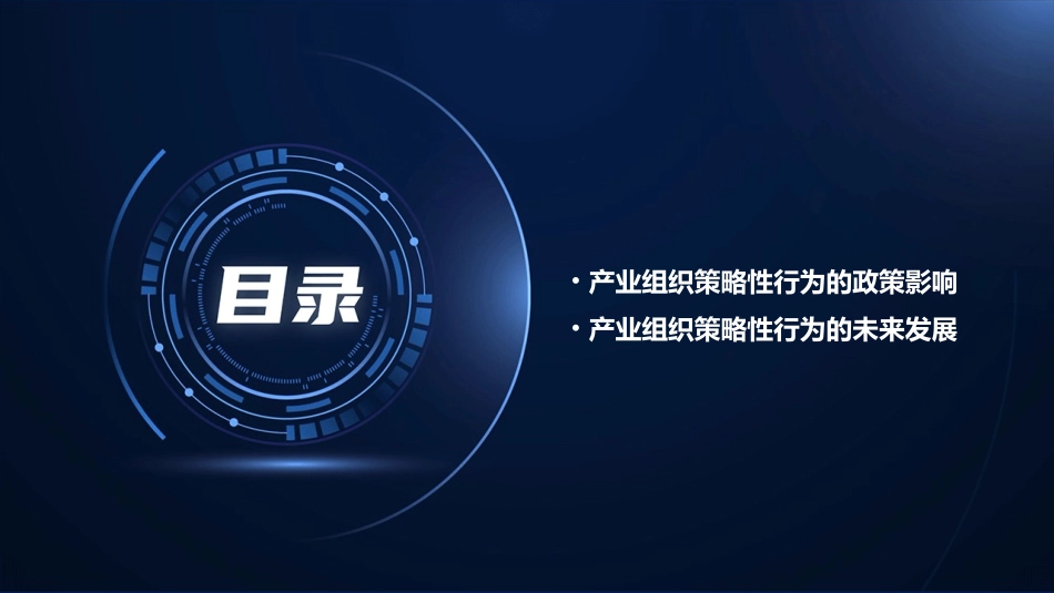 产业组织策略性行为课件_第3页