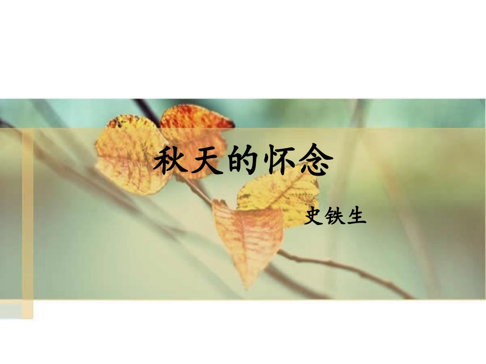 秋天的怀念3_第1页