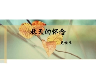 秋天的怀念3
