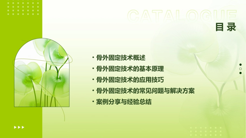 骨外固定技术应用技巧和方法课件_第2页