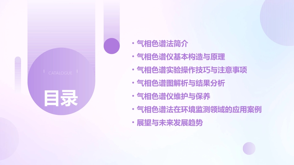 某仪器公司气相色谱培训资料课件_第2页