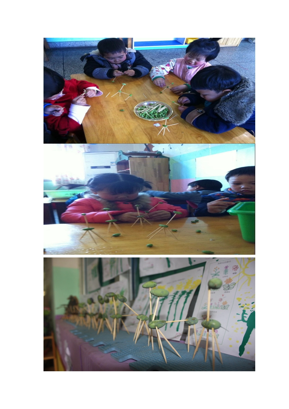 自然资源手工实践_第2页