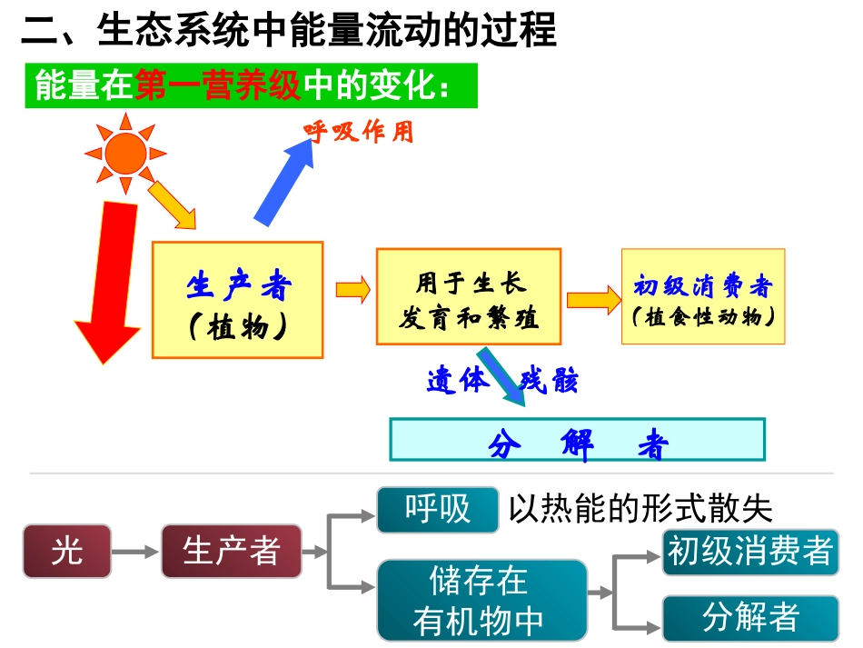生态系统的三大功能_第3页