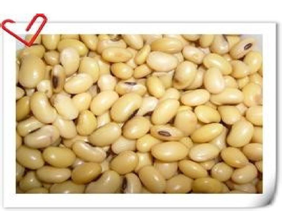 大班科学：奇妙的膨胀_第3页