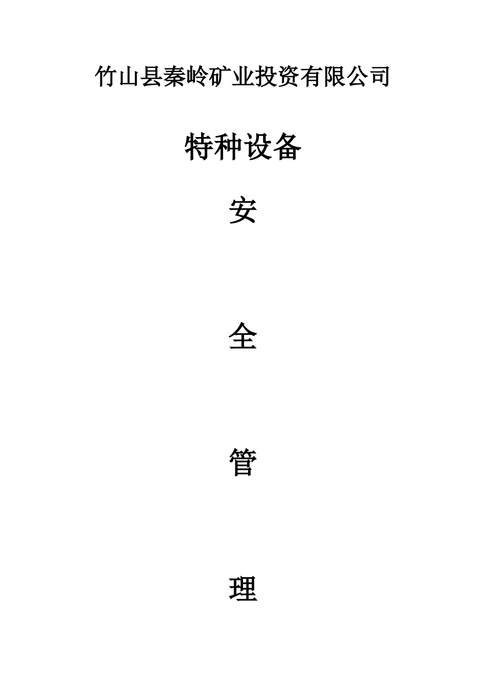 特种设备台账格式_第1页