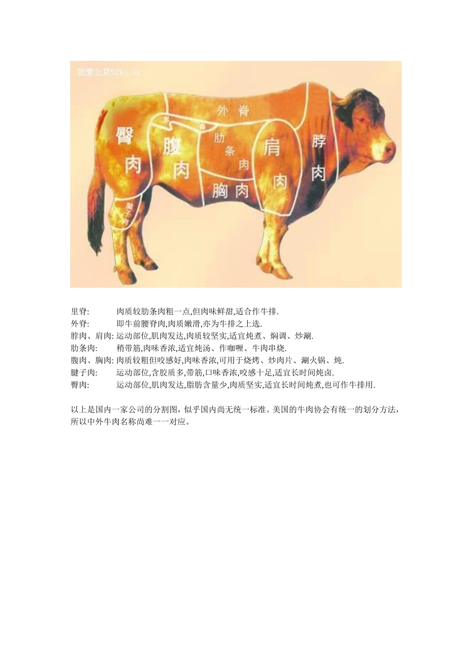 牛肉部位分割图_第1页